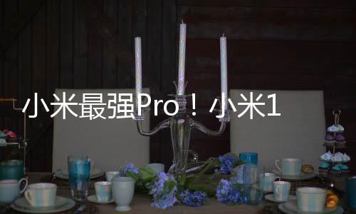 小米最強(qiáng)Pro！小米15S Pro入網(wǎng)