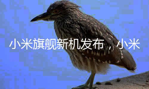 小米旗艦新機(jī)發(fā)布，小米15Ultra雙拼色，革新傳統(tǒng)設(shè)計(jì)理念的新視覺(jué)盛宴