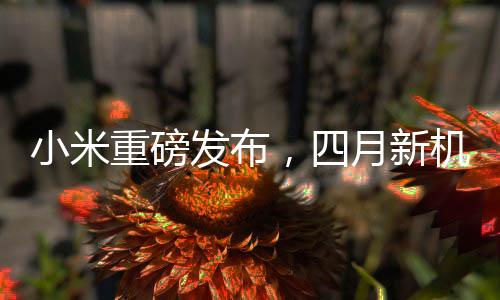 小米重磅發(fā)布，四月新機型，親民價格，實現(xiàn)用戶買得起的夢想