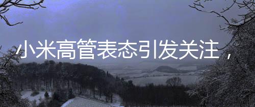 小米高管表態(tài)引發(fā)關(guān)注，衛(wèi)生巾項目真的做不了嗎？