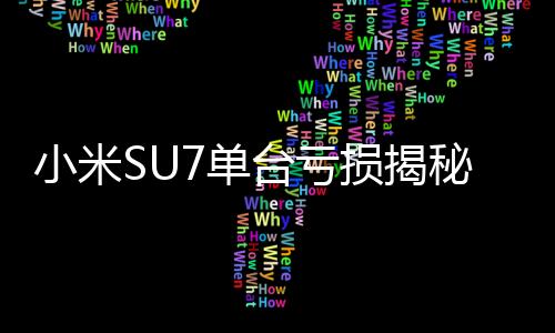 小米SU7單臺(tái)虧損揭秘，深度剖析背后的原因與未來(lái)展望