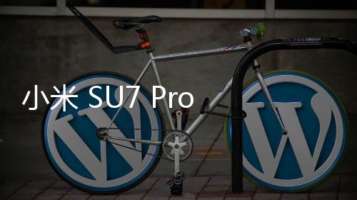 小米 SU7 Pro 交付時(shí)間長(zhǎng)達(dá) 11 個(gè)月？小米王化辟謠