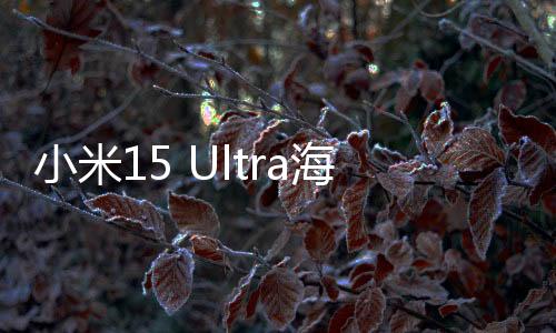 小米15 Ultra海外售價(jià)超iPhone，引發(fā)高端市場(chǎng)新競(jìng)爭(zhēng)格局