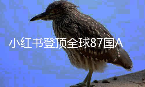小紅書(shū)登頂全球87國(guó)App Store榜首，數(shù)字營(yíng)銷的嶄新里程碑
