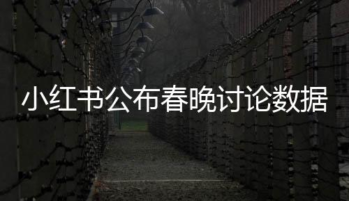 小紅書公布春晚討論數(shù)據(jù)，億萬網(wǎng)友熱議文化盛宴，點燃節(jié)日氛圍新熱點