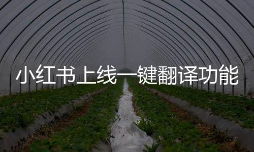 小紅書(shū)上線一鍵翻譯功能，全球化時(shí)代的新助力