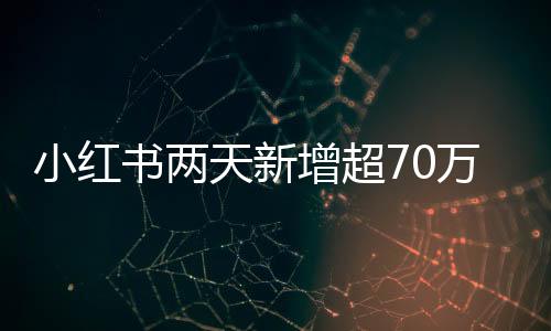 小紅書兩天新增超70萬用戶，平臺增長勢頭強勁