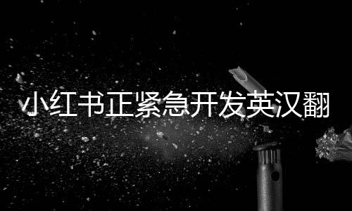 小紅書正緊急開發(fā)英漢翻譯功能，推動全球化交流的新舉措