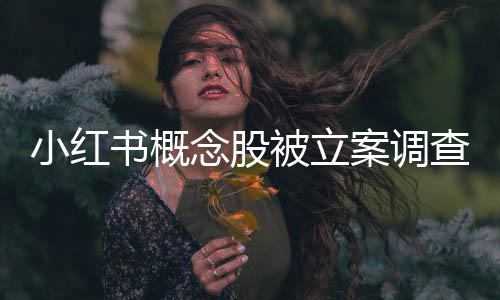 小紅書概念股被立案調查，事件解讀與行業(yè)展望