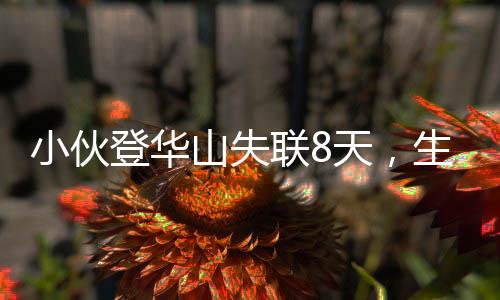 小伙登華山失聯(lián)8天，生死未卜，搜救行動(dòng)緊張展開
