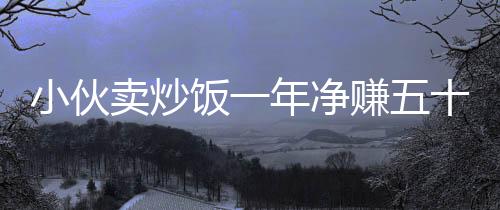 小伙賣炒飯一年凈賺五十萬，一份關(guān)于堅(jiān)持與創(chuàng)新的勵志故事