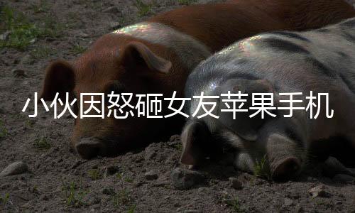 小伙因怒砸女友蘋(píng)果手機(jī)留案底 網(wǎng)友熱議兩敗俱傷