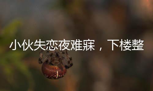 小伙失戀夜難寐，下樓整理電瓶車展現(xiàn)獨特療愈方式