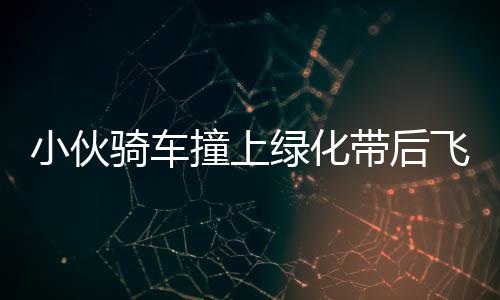 小伙騎車撞上綠化帶后飛進(jìn)居民家事件始末