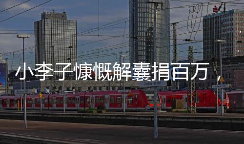小李子慷慨解囊捐百萬，心系災(zāi)區(qū)暖人心