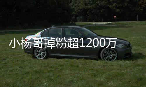 小楊哥掉粉超1200萬，社交媒體風(fēng)云再起