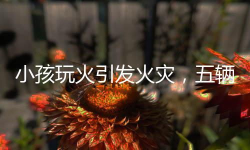小孩玩火引發(fā)火災(zāi)，五輛車被燒成空殼