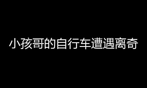 小孩哥的自行車遭遇離奇事件，獅子將其騎走，背后真相待揭曉