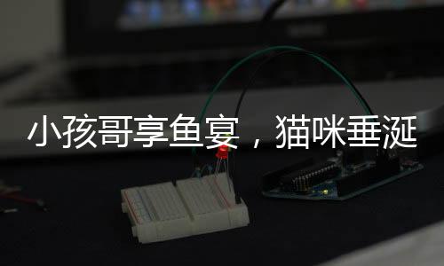 小孩哥享魚宴，貓咪垂涎欲哭
