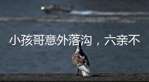小孩哥意外落溝，六親不認(rèn)步伐成焦點(diǎn)