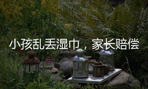 小孩亂丟濕巾，家長賠償七千元事件引發(fā)社會關(guān)注