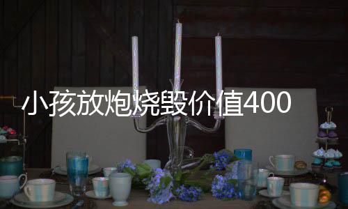 小孩放炮燒毀價(jià)值400萬(wàn)捕魚(yú)網(wǎng)具事件深度解析