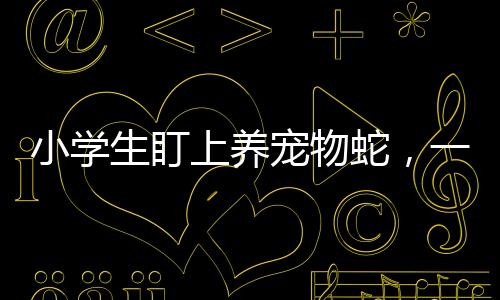 小學生盯上養(yǎng)寵物蛇，一種新興寵物熱潮下的關(guān)注與警示