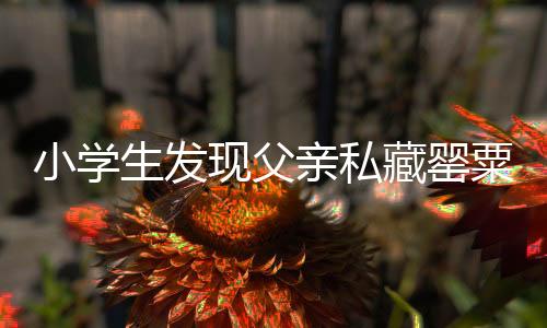 小學(xué)生發(fā)現(xiàn)父親私藏罌粟，挨罵后勇敢舉報(bào)
