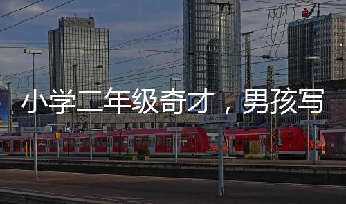 小學(xué)二年級奇才，男孩寫字堪比打印機(jī)