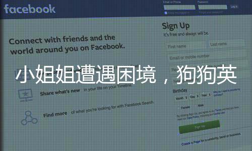 小姐姐遭遇困境，狗狗英勇出手——一起見證人與寵物的默契時(shí)刻