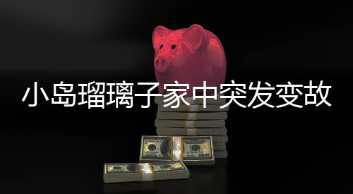 小島瑠璃子家中突發(fā)變故，丈夫不幸離世，她受輕傷備受關(guān)注