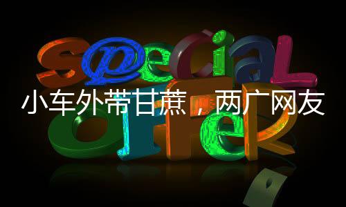 小車外帶甘蔗，兩廣網(wǎng)友解讀意頭