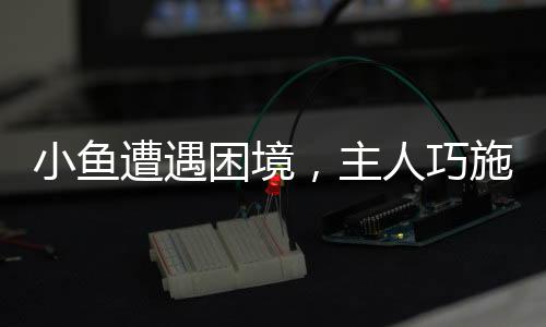 小魚遭遇困境，主人巧施妙計(jì)——綁口罩助魚保持平衡