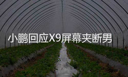 小鵬回應(yīng)X9屏幕夾斷男童食指事件，真相、措施與社會責(zé)任