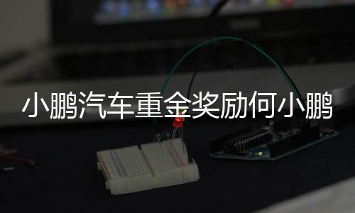 小鵬汽車重金獎(jiǎng)勵(lì)何小鵬，若達(dá)成條件將價(jià)值142.5億港元