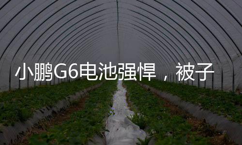 小鵬G6電池強悍，被子彈連續(xù)擊中10槍仍正常運行