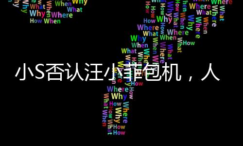 小S否認汪小菲包機，人在做天在看——一場關于事實與謠言的較量