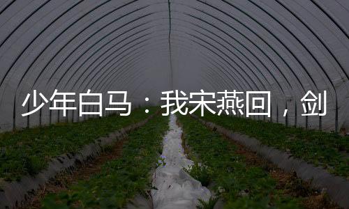 少年白馬：我宋燕回，劍斬太安帝