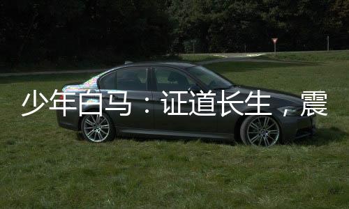 少年白馬：證道長(zhǎng)生，震驚北離！