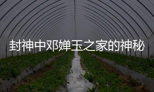 封神中鄧嬋玉之家的神秘面紗，那爾那茜的深度解讀