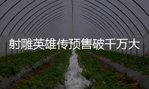 射雕英雄傳預(yù)售破千萬(wàn)大關(guān)，新一輪武俠熱席卷全球！