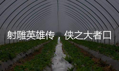 射雕英雄傳，俠之大者口碑評(píng)析
