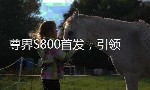 尊界S800首發(fā)，引領行業(yè)風向的三大新技術揭秘