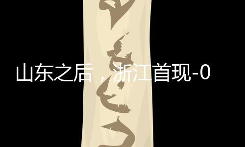 山東之后，浙江首現(xiàn)-0.2元負(fù)電價(jià)，電價(jià)創(chuàng)新低，引領(lǐng)能源轉(zhuǎn)型新篇章