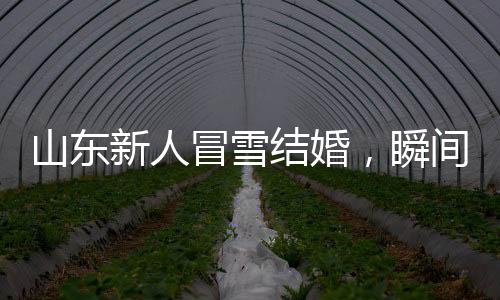 山東新人冒雪結(jié)婚，瞬間白頭，見證真摯愛情