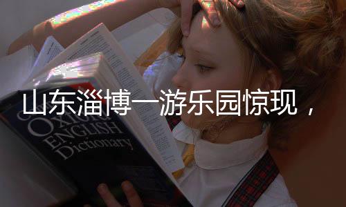 山東淄博一游樂(lè)園驚現(xiàn)，驢扮演斑馬，引發(fā)社會(huì)關(guān)注