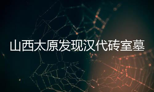 山西太原發(fā)現(xiàn)漢代磚室墓 出土“四神”當盧頗具特色