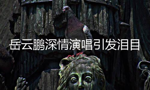 岳云鵬深情演唱引發(fā)淚目，舞臺魅力令人動容