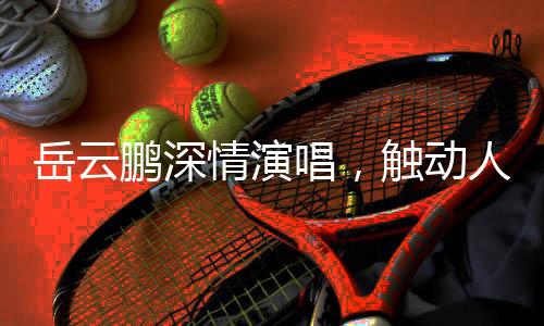 岳云鵬深情演唱，觸動人心，一曲打動眾人心弦的歌