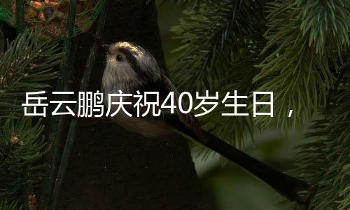 岳云鵬慶祝40歲生日，大女兒罕見露臉——溫馨家庭瞬間記錄